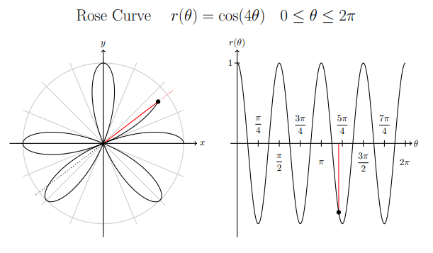 rose curve screenshot